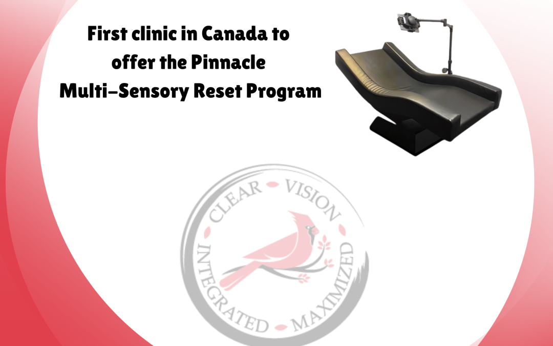 Understanding the Brain’s Challenge with Pinnacle Multi-Sensory Reset Program